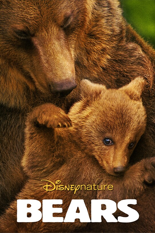 DisneyNature Bears poster