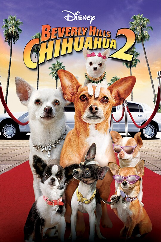 Disney | Beverly Hills Chihuahua 2 movie poster