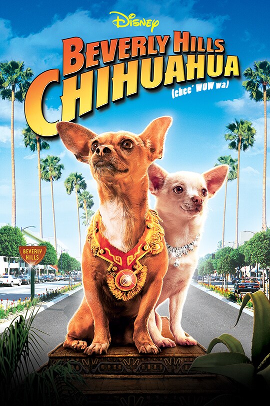 Beverly Hills Chihuahua | Disney Movies