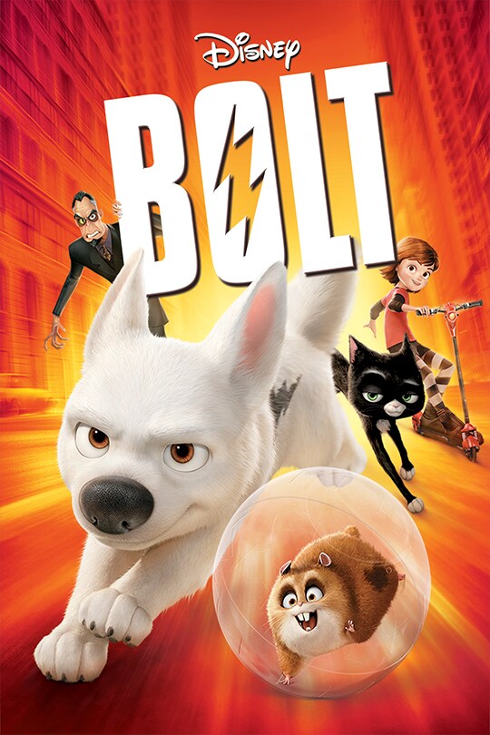 how old is bolt the dog in dog years