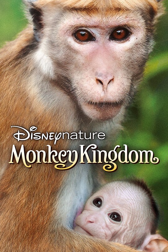 Disneynature | Monkey Kingdom | movie poster