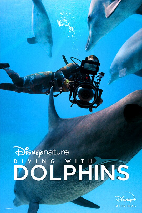 Disneynature Diving with Dolphins