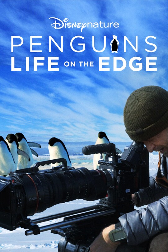 Disneynature Penguins Life on the Edge