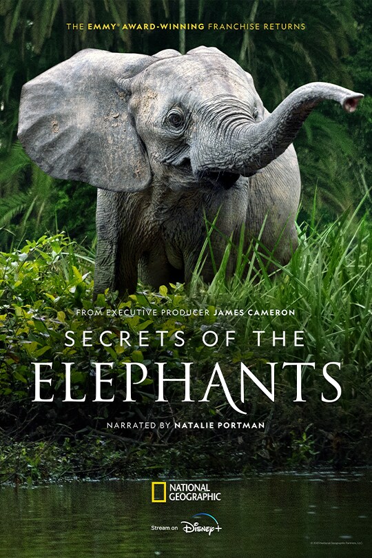 The Emmy® award-winning franchise returns | From Executive Producer James Cameron | Secrets of the Elephants | Narrated by Natalie Portman | National Geographic | Disney+ Original