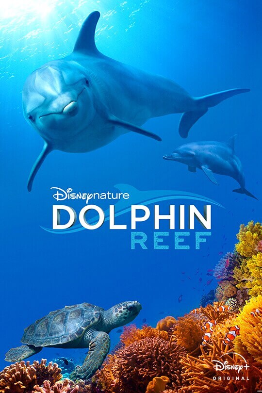 Disneynature | Dolphin Reef | Disney+ Original | movie poster