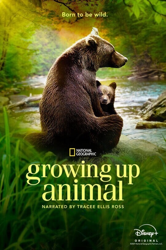 Born to be wild. | National Geographic | Growing Up Animal | Narrated by Tracee Ellis Ross | Disney+ Original | movie poster