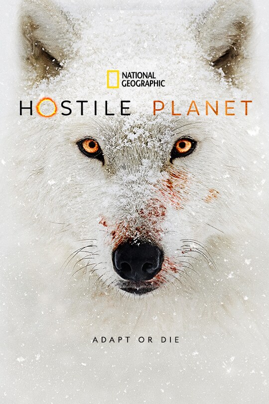 National Geographic: Hostile Planet | Adapt or Die | Poster