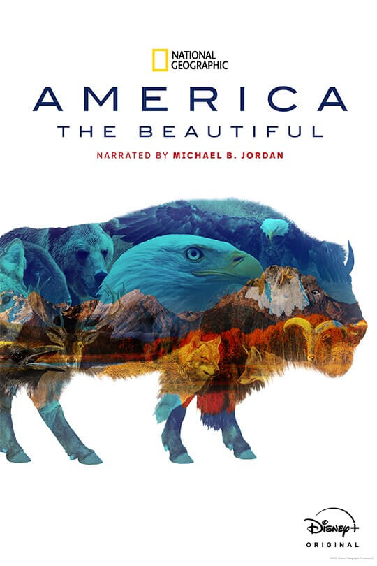 National Geographic | America the Beautiful | Narrated by Michael B. Jordan | Disney+ Original | movie poster