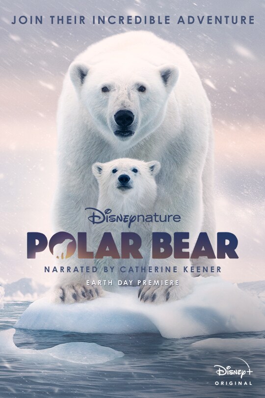 Disneynature's Polar Bear