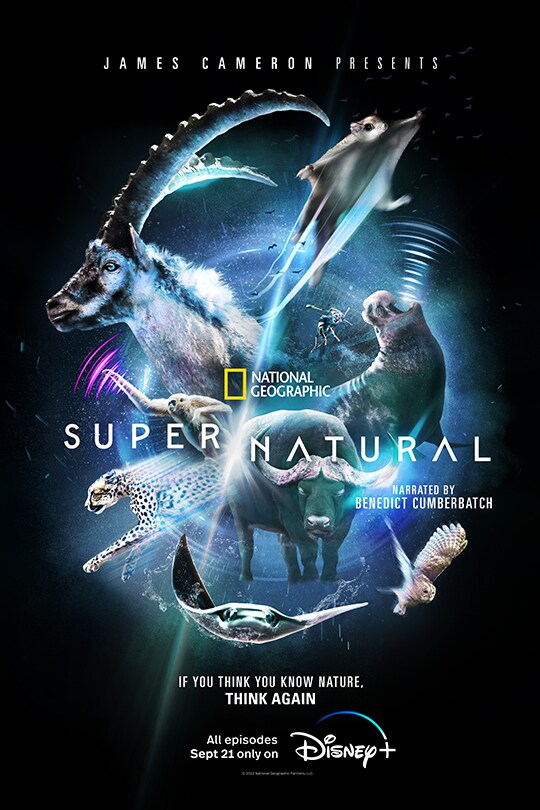 James Cameron Presents | National Geographic | Super/Natural | Narrated By Benedict Cumberbatch | If you think you know nature, think again | All episodes Sept 21 only on Disney+ | poster