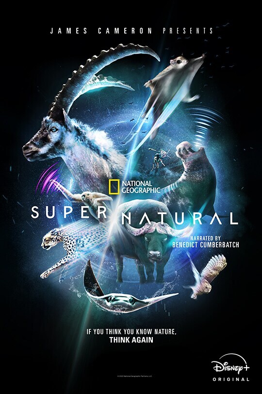 James Cameron Presents | National Geographic | Super/Natural | Narrated By Benedict Cumberbatch | Disney+ Original | poster