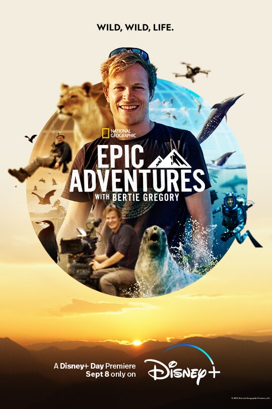 Wild, wild, life. | National Geographic | Epic Adventures with Bertie Gregory | A Disney+ Day Premiere Sept 8 only on Disney+ | poster