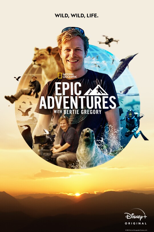 Wild, wild, life. | National Geographic | Epic Adventures with Bertie Gregory | Disney+ Original | poster