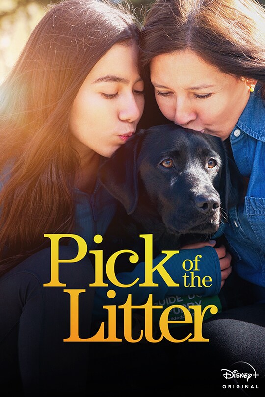 Pick of the Litter | Disney+ Original | movie poster