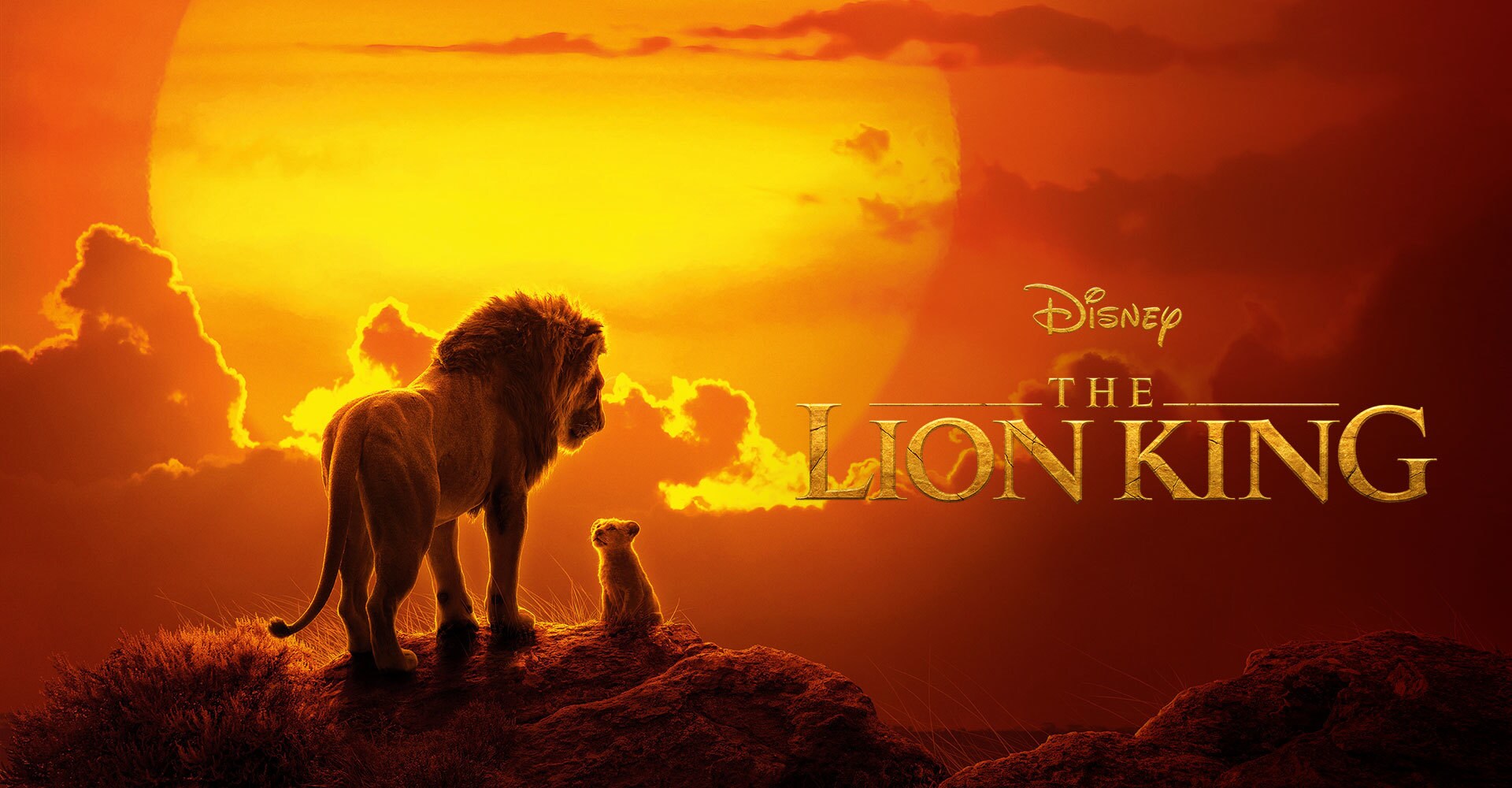 download the lion king show