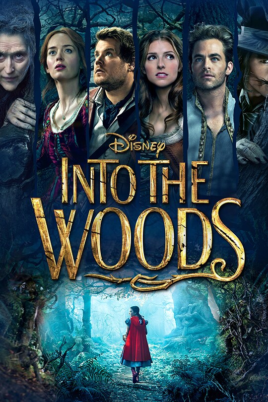 Into the Woods movie  poster