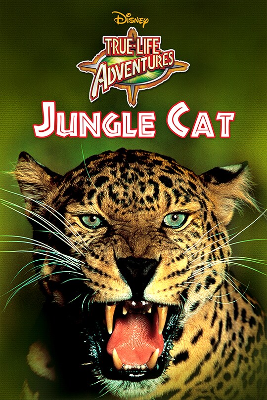 Jungle Cat | Disney Movies