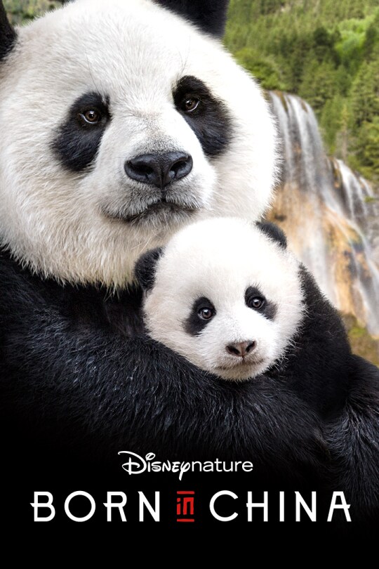 Disneynature: Born in China | Movie Poster