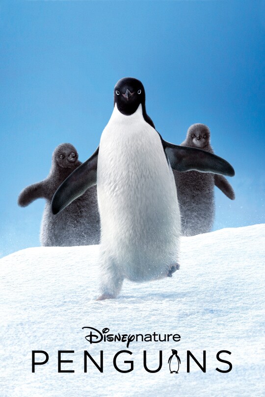 Disneynature: Penguins | Movie Poster