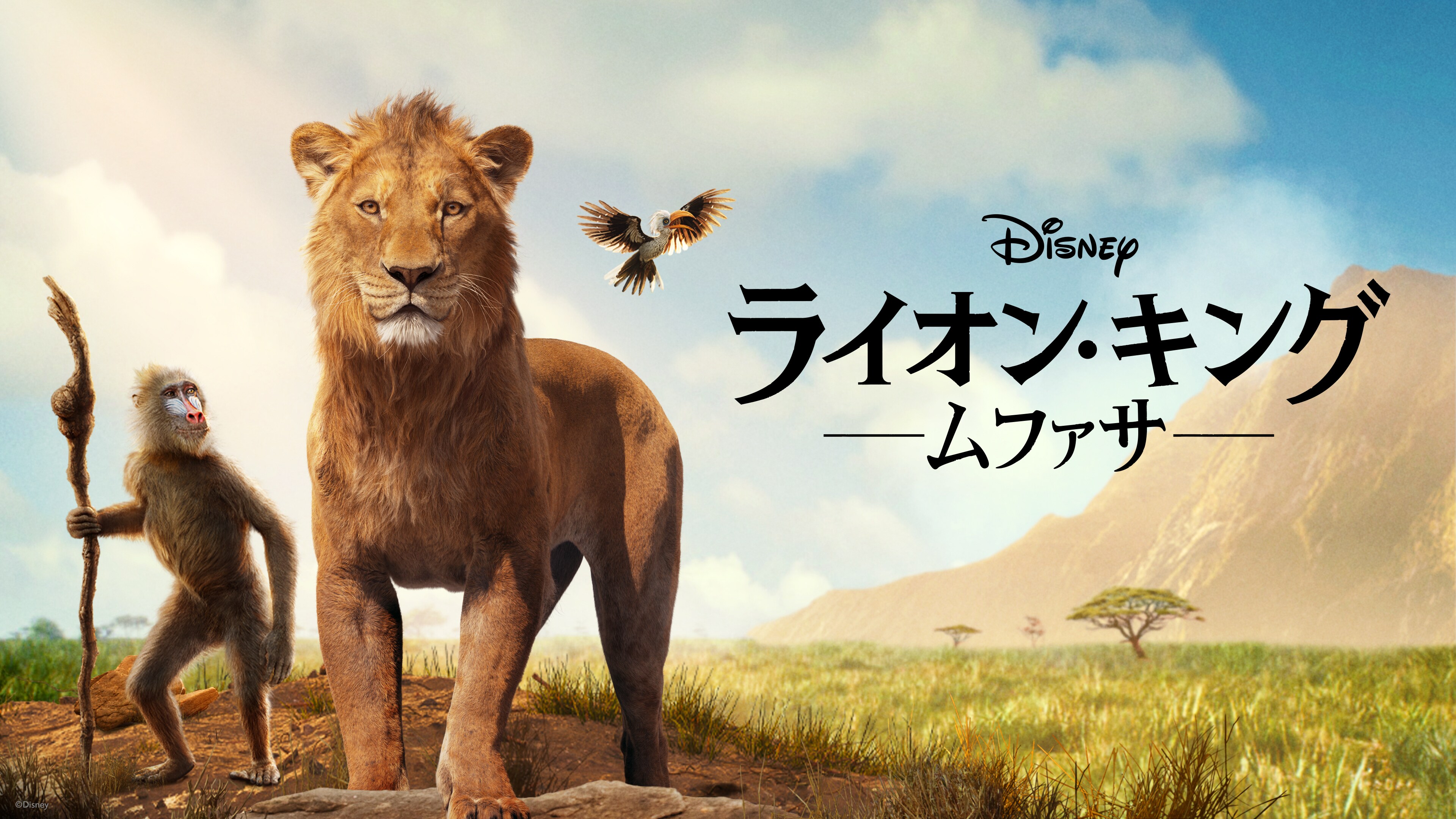 p_mufasa_ta_l178_3840x2160_ja_