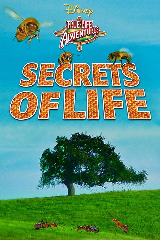 Secrets of Life poster