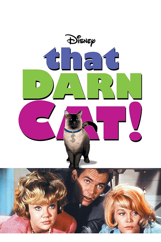 That Darn Cat movie poster