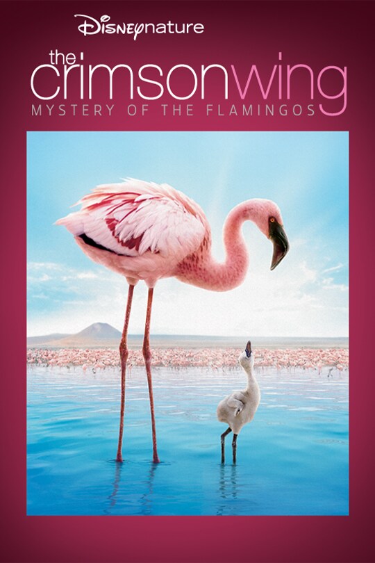 The Crimson Wing: Mystery Of The Flamingos poster