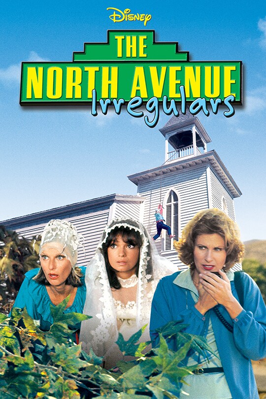 The North Avenue Irregulars movie poster