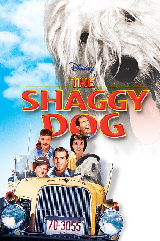 Disney The Shaggy Dog movie poster