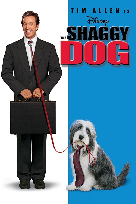 Disney | Tim Allen in The Shaggy Dog | movie poster