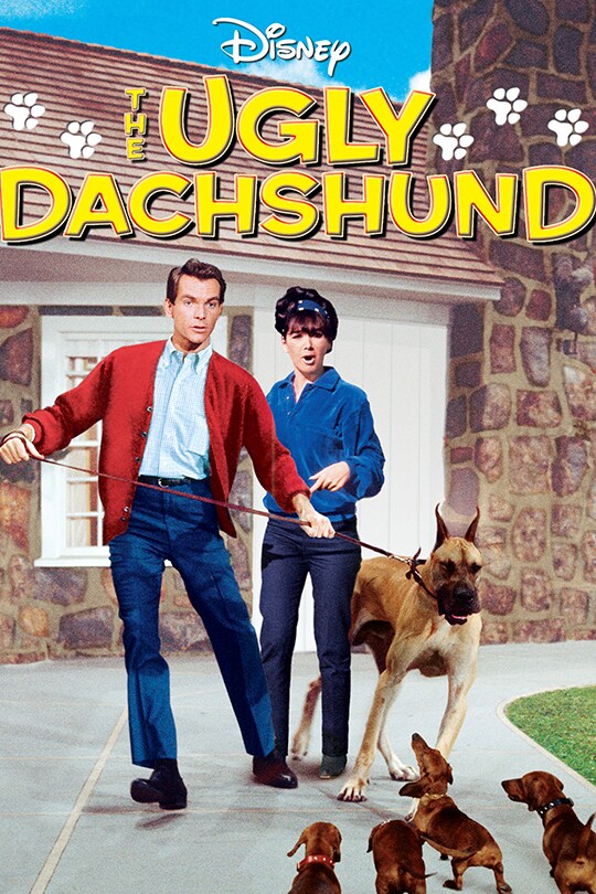 The Ugly Dachshund movie poster