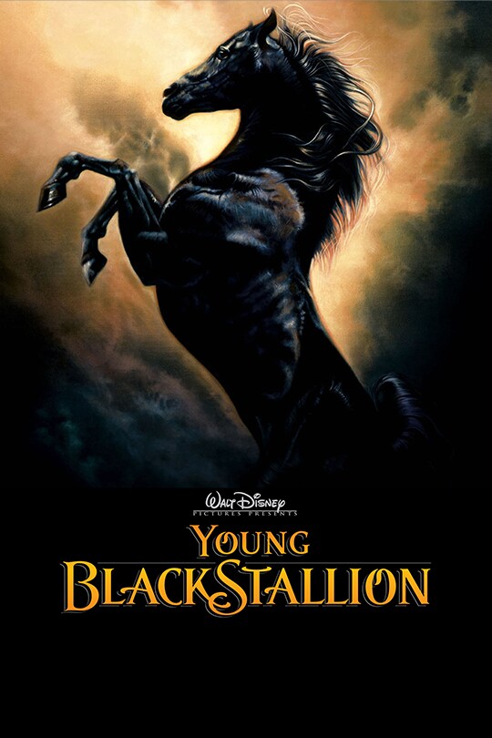Young Black Stallion poster