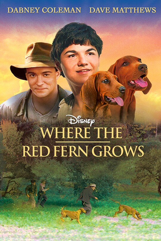 Where the Red Fern Grows movie poster