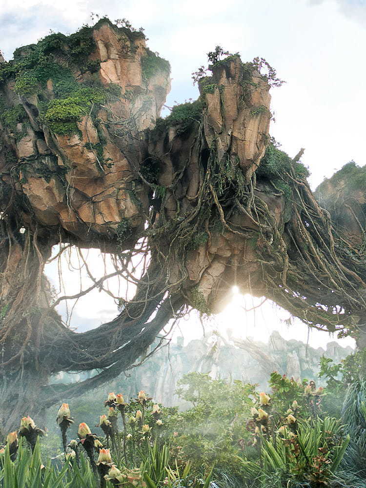 Pandora: The World of Avatar at Disney's Animal Kingdom Theme Park |  