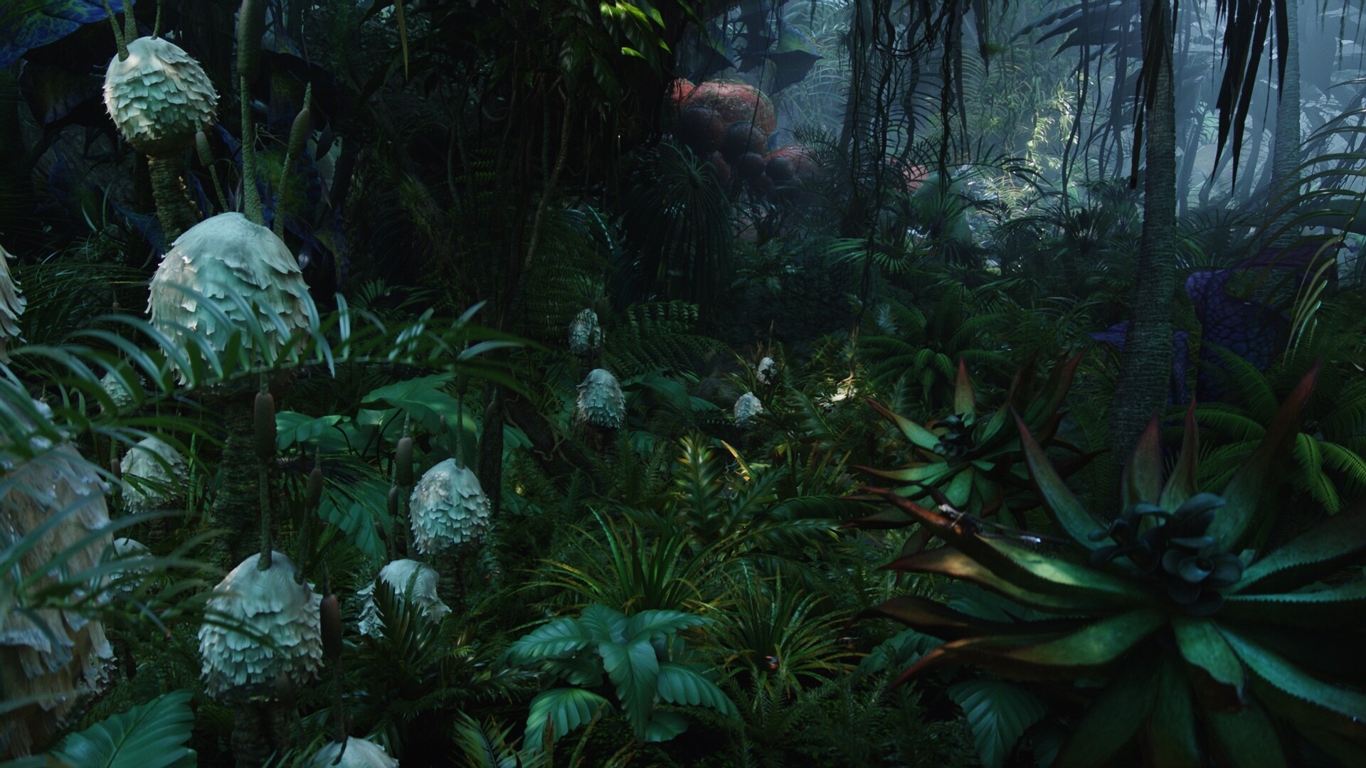 Avatar Zoom Background |  Pandoran Rainforest