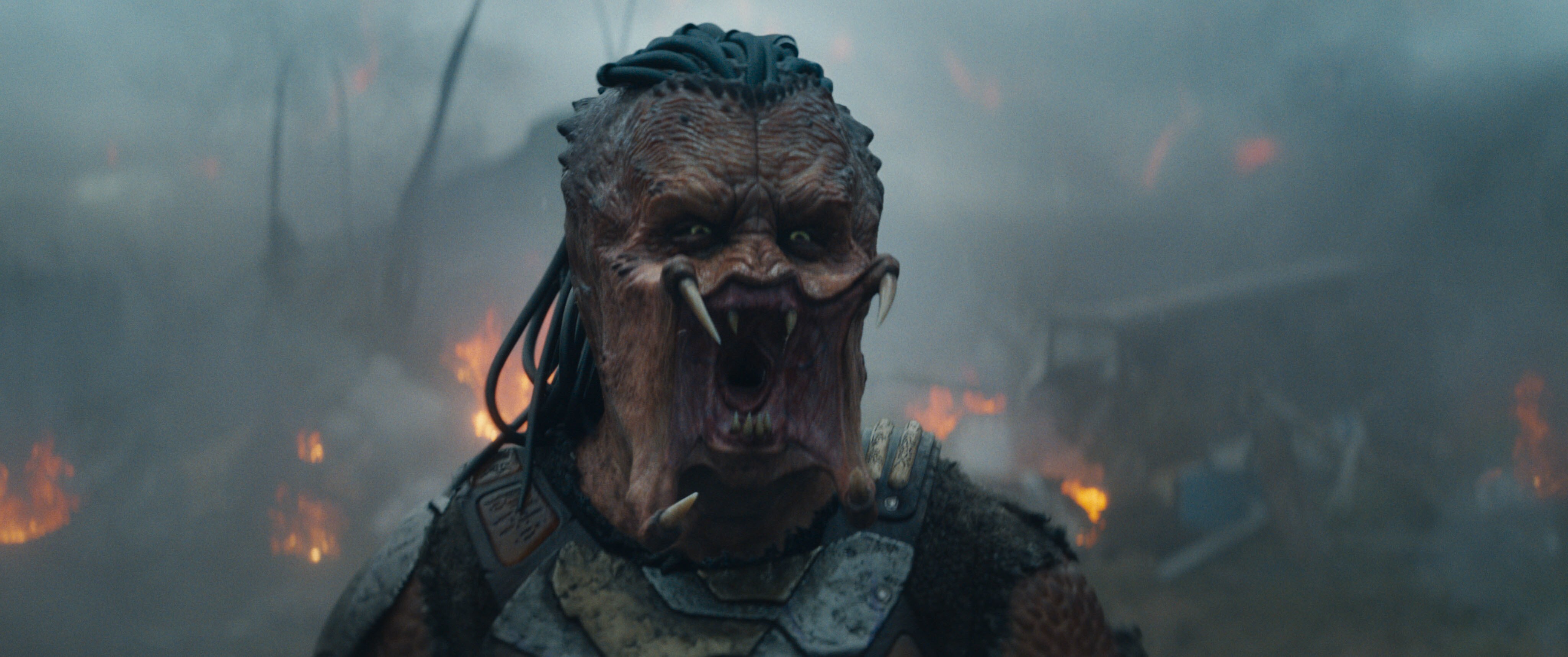 Predator: Badlands - creator Fanning 