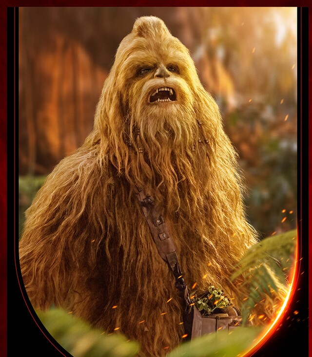 Kelnacca in an official character poster from The Acolyte
