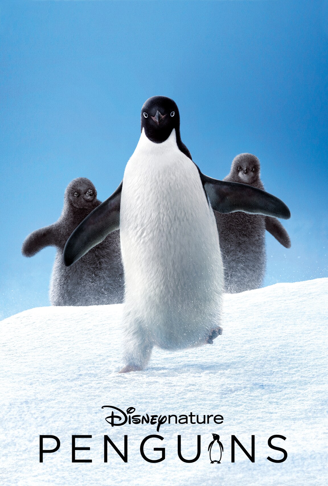 Penguins (2019)