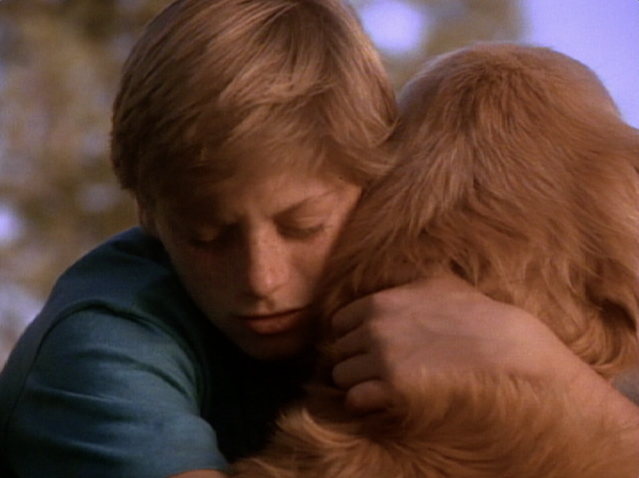 Peter Hugs Shadow in Homeward Bound