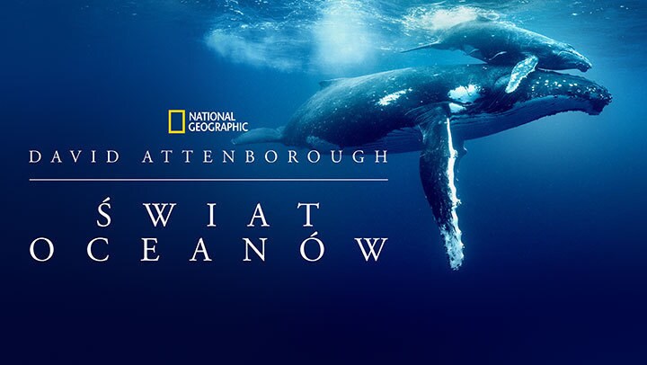 David Attenborough: Świat oceanów