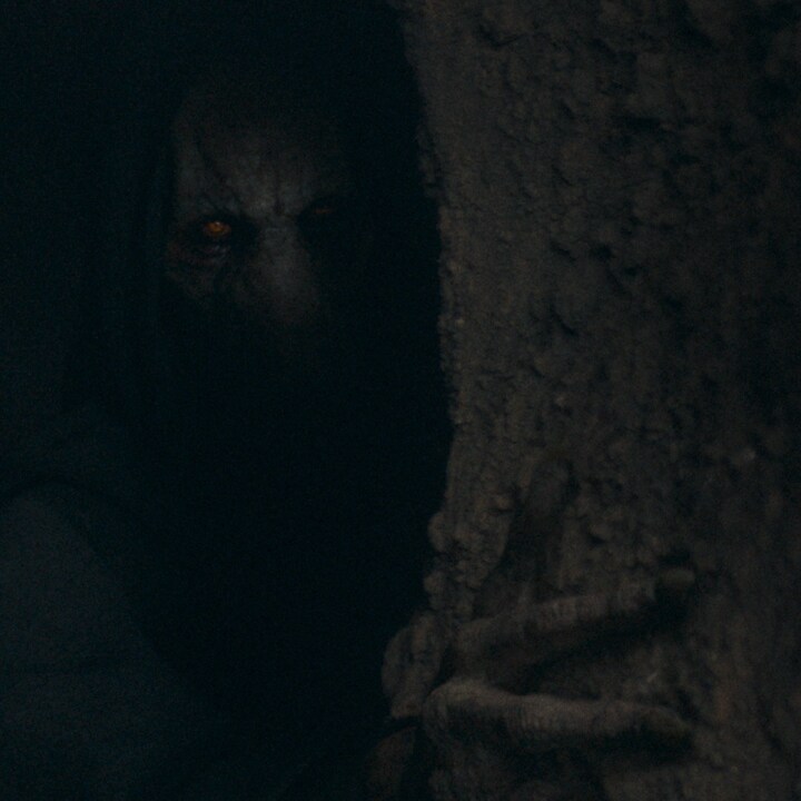 Darth Plagueis