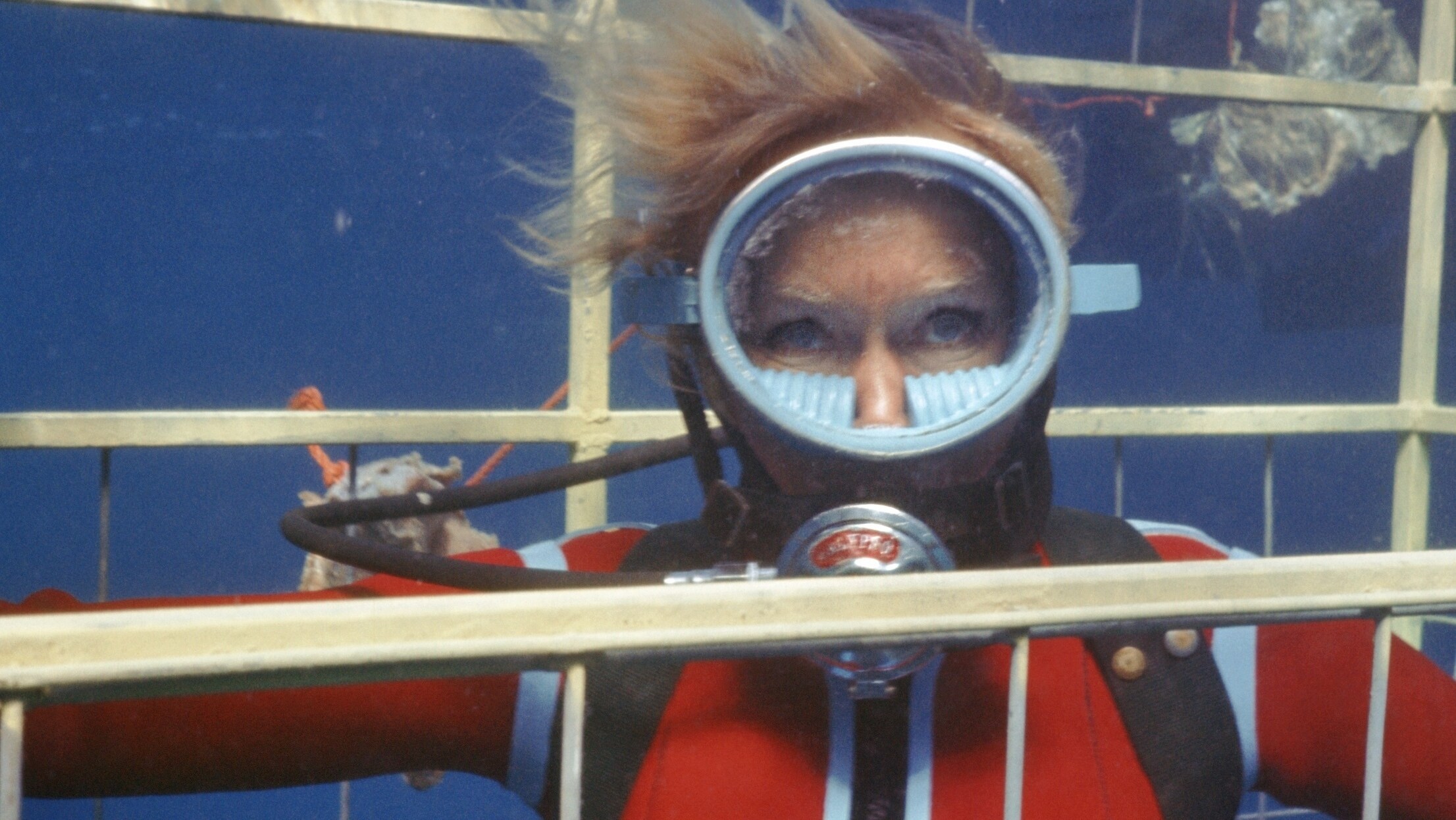 Valerie Taylor underwater in a shark cage in 1968.  (photo credit: Ron & Valerie Taylor)