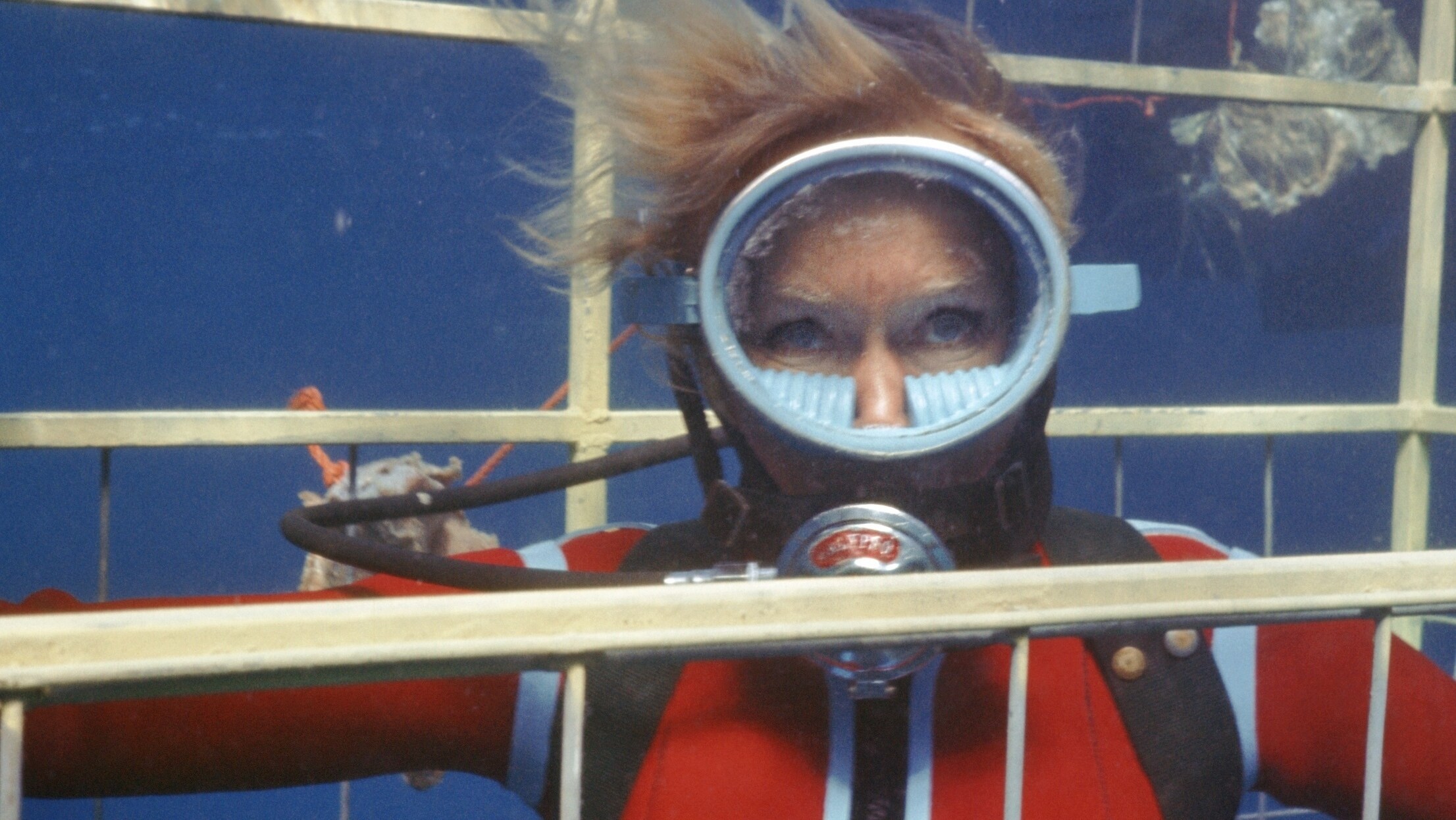 Valerie Taylor underwater in a shark cage in 1968. (photo credit: Ron & Valerie Taylor)