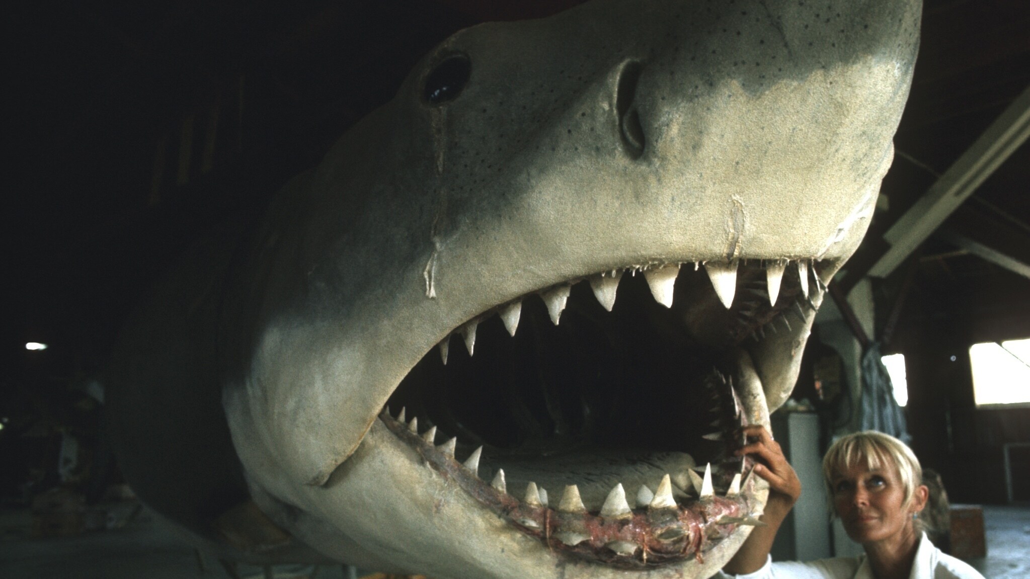 Valerie Taylor on the Jaws film set standing next to a shark prop in 1974.  (photo credit: Ron & Valerie Taylor)