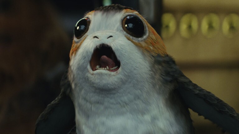 Image result for porg