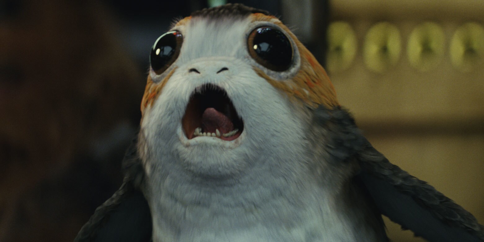 porg-main_16933d3b.jpeg?region=0,16,1560