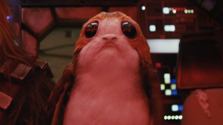 porg_f5e77ddb.jpeg