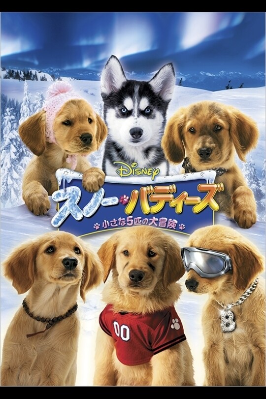 映画DVD４点★『スノー・バディーズ 小さな5匹の大冒険』など★レンタル落ち Amazon.co.jp: スノー・バディーズ／小さな5匹の大冒険 [DVD
