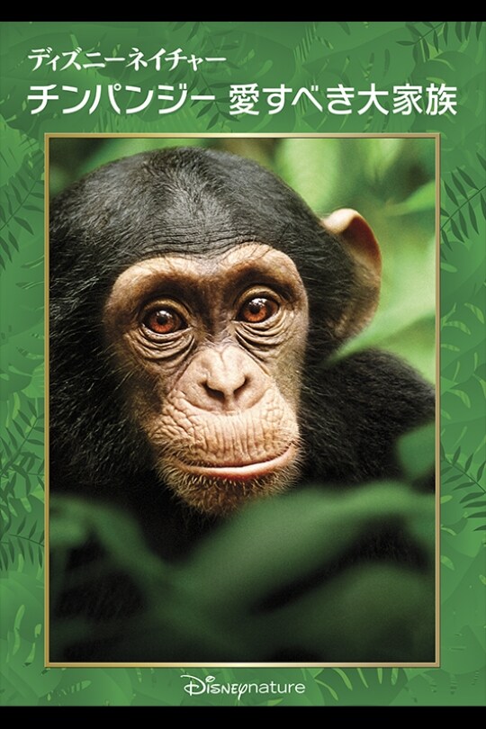 ディズニーネイチャー／チンパンジー 愛すべき大家族｜ブルーレイ・DVD・デジタル配信｜ディズニー公式