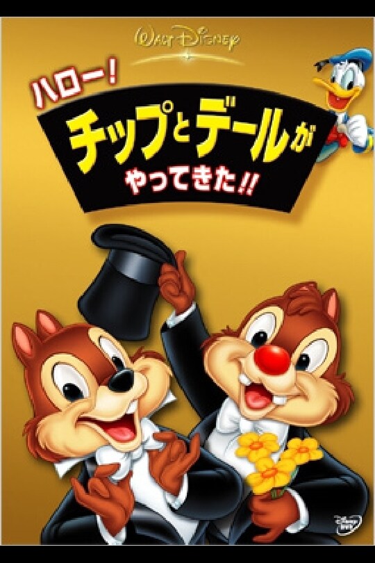 ハロー！チップとデールがやってきた！！